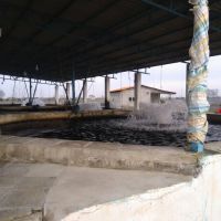 فروش 7800 متر استخر پرورش ماهی قزل الا در آمل