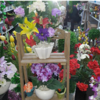 تولید و پخش گل رز  قم