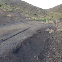 خرید معدن زغال سنگ در زرند