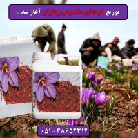 فروش کود زعفران.Saffron fertilizer.قیمت کود زعفران.کود زعفران مشهد.گناباد.تربت حیدریه.قاین.بیرجند.بجستان.تایباد.باخرز