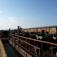 فروش گاوداری در زنجان