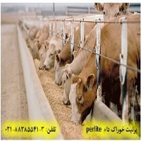 استفاده از پرلیت در خوراک دام perlite