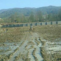 فروش 10000 متر زمین با مجوز مرغداری در فریم