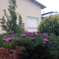 فروش کارخانه غذایی در تهران