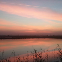 فروش دو مزرعه ۵۰هکتاری پرورش ماهی در خرمشهر