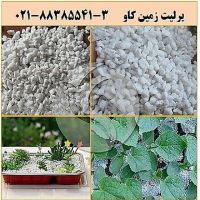 مزایای استفاده از پرلیت در کشاورزی Perlite