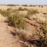 معاوضه یا فروش 1000 متر استخر پرورش ماهی در صفادشت