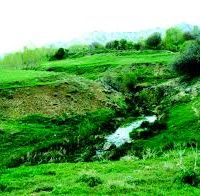 فروش چشمه آب معدنی در گلستان