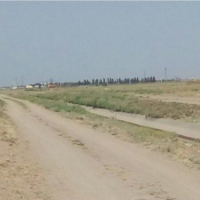 فروش 7 هکتار زمین برای گاوداری و پرورش شترمرغ قزوین