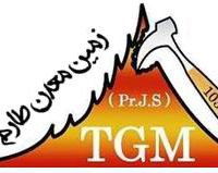 خدمات تخصصی معدن