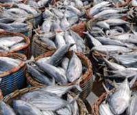 فروش کارخانه تولید و بسته بندی کنسرو ماهی بابلسر