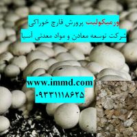 فروش ورمیکولیت ویژه پرورش قارچ