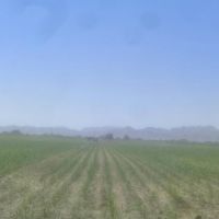 فروش گاوداری در زیار