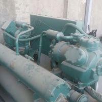 سردخانه زیر صفر صنعتی