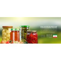 فروش خط تولید ترشی در تهران