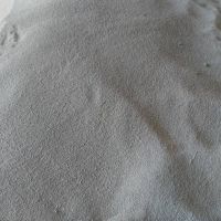 خرید خاک گربه