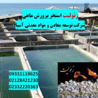 فروش زئولیت ویژه استخرماهی و آکواریوم