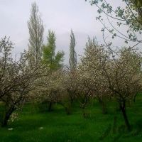 فروش ملک صنعتی کاربری کارخانه در اردبیل