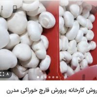 فروش کارخانه تمام اتوماتیک تولید قارج تهران