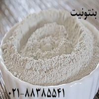 مزایای مصرف بنتونیت (Bentonite)   دانه بندی و  پودری  زمین کاو در پرورش آبزیان