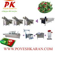 خط بسته بندی سبزیجات ریشه ای و بدون ریشه