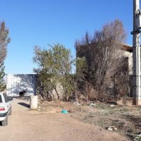 فروش مرغداری تخمگذار ( از دم قسط) در تهران