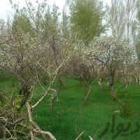 اجاره سوله در اردبیل