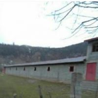 فروش 2051 متر دامداری در رضوانشهر