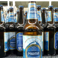 آب معدنی های گازدار پارمین 