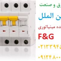 کلید مینیاتوری شرکت F&G,نماینده اف و جی,نمایندهF&G