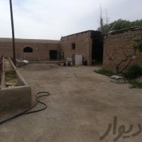 فروش دامداری گوشتی ورامین