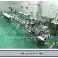 دستگاه بسته بندی بالشتی