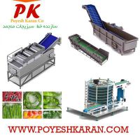خط تولید و بسته بندی سبزیجات آماده طبخ