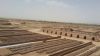فروش کارخانه آجر و سفال فشاری در نیشابور