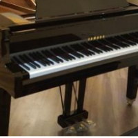 حمل پیانو سنگین آکوستیک تمامی مدلها