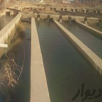 اجاره مزرعه پرورش ماهی ۷۰ تنی در یاسوج