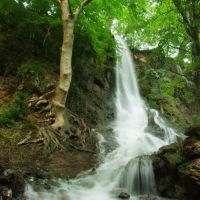 فروش مجوز آب معدنی در مازندران