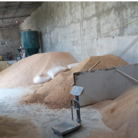 کرج تولید خوراک دام وطیور