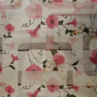 تولید و پخش مستقیم پرده