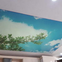 فروش و اجرای سقفهای کشسان درارومیه