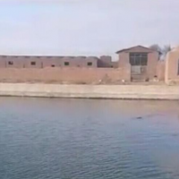 فروش 10000 متر دامداری و زمین در سبزوار