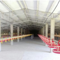 فروش 56800 متر مرغداری و پرورش ماهی در شفت