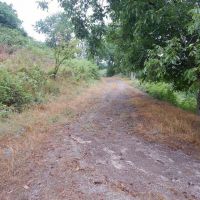 فروش زمین و چشمه آب معدنی