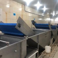 خط  تولید شستشوی میوه و سبزیجات