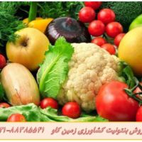 بنتونیت در صنعت کشاورزی Bentonite