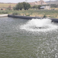 فروش 20000 متر پرورش ماهی فعال در ماهنشان زنجان