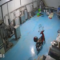 خط تولید لبنیات به فروش میرسد