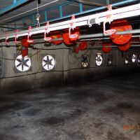 فروش مرغداری محصور شده در گرمسار