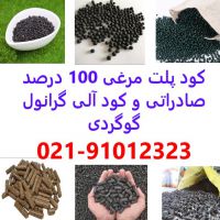 تولید پلت مرغی بندرعباس