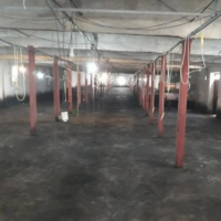 فروش 34200 متر مرغداری و باغ در نطنز